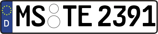 MS-TE2391