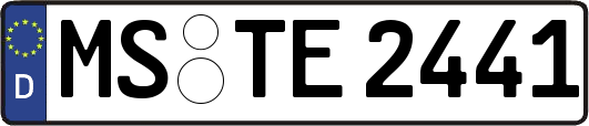MS-TE2441