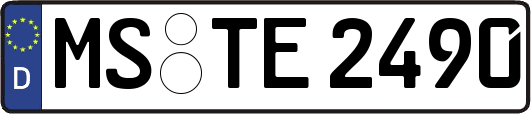 MS-TE2490