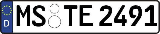 MS-TE2491