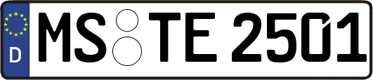 MS-TE2501