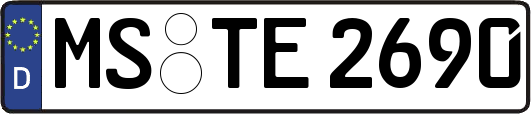 MS-TE2690