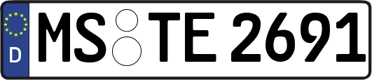 MS-TE2691
