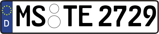 MS-TE2729