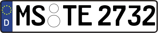 MS-TE2732