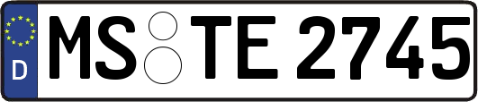 MS-TE2745