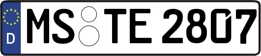 MS-TE2807