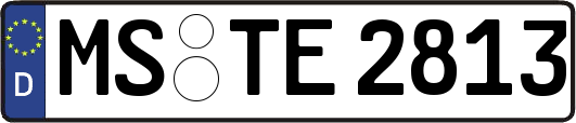 MS-TE2813