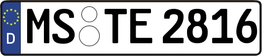 MS-TE2816