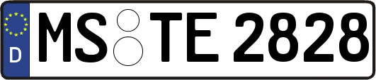 MS-TE2828