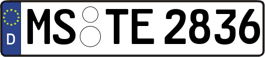 MS-TE2836