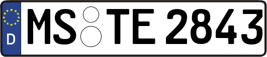 MS-TE2843