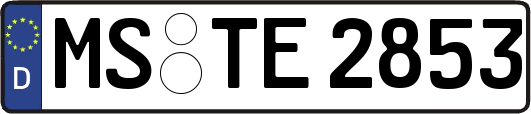 MS-TE2853