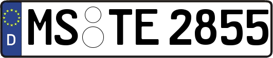 MS-TE2855