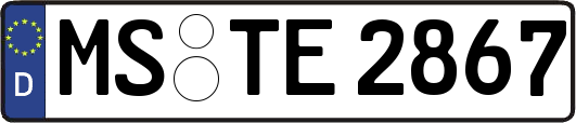 MS-TE2867