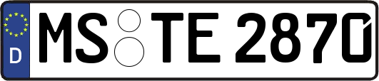 MS-TE2870