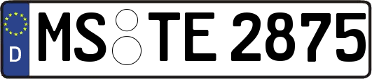 MS-TE2875