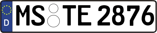 MS-TE2876
