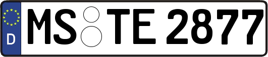 MS-TE2877