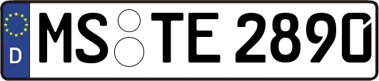 MS-TE2890