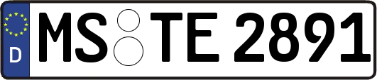 MS-TE2891