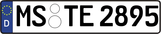 MS-TE2895