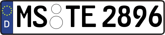 MS-TE2896