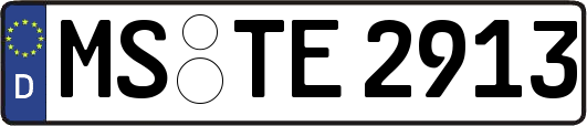 MS-TE2913