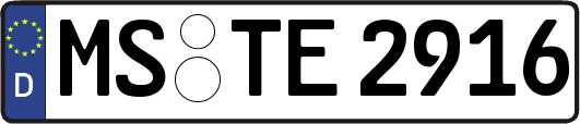MS-TE2916
