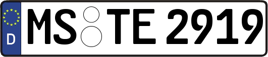 MS-TE2919