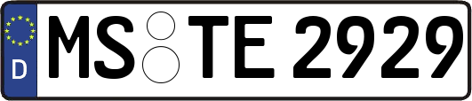 MS-TE2929