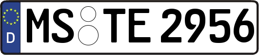 MS-TE2956