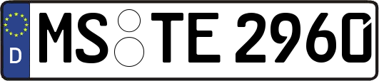 MS-TE2960