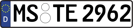 MS-TE2962