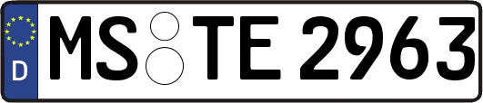 MS-TE2963
