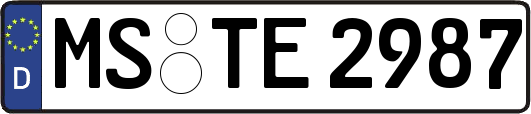 MS-TE2987