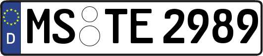MS-TE2989
