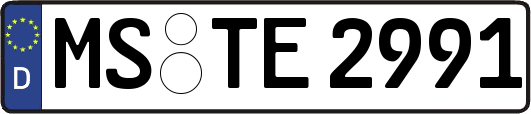 MS-TE2991
