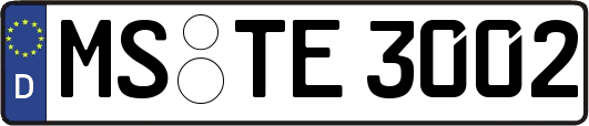 MS-TE3002