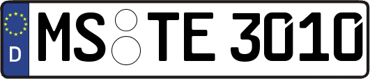 MS-TE3010