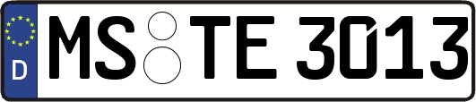 MS-TE3013