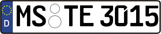 MS-TE3015