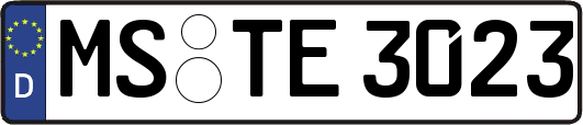 MS-TE3023