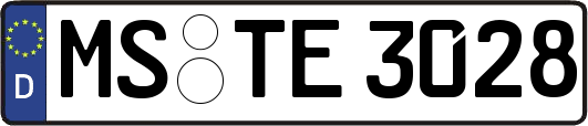 MS-TE3028