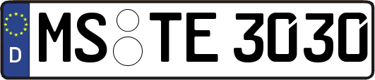MS-TE3030