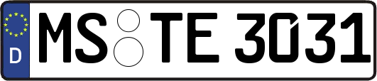 MS-TE3031
