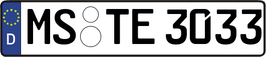 MS-TE3033