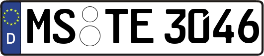 MS-TE3046