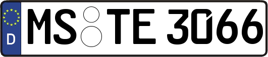 MS-TE3066