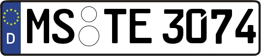 MS-TE3074